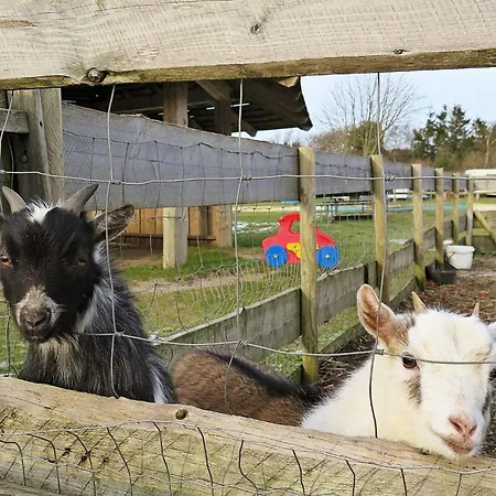 8 Person In Struer-by Traum