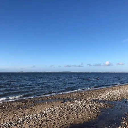 8 Person In Struer